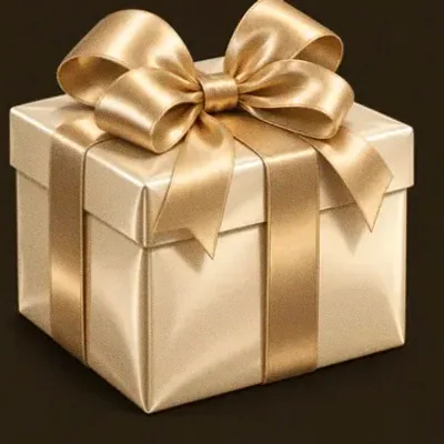 Ribboned gift box — Bsb007