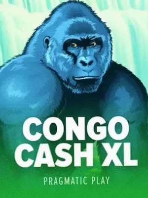 Congo Cash XL at Bsb007